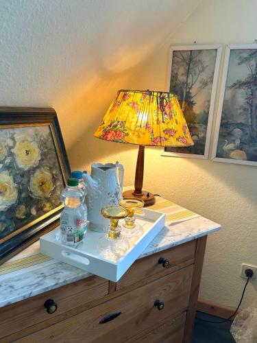 a table with a lamp on top of a dresser at Landhaus Hüttblek in Hüttblek