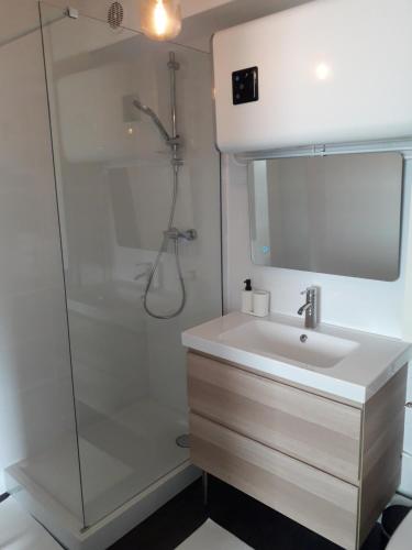 a bathroom with a sink and a shower at A 300m de la plage, appartement moderne et cosy in Merville-Franceville-Plage