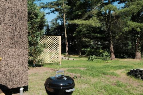 a black pot sitting on the side of a tree at kleiner Heidesee in Versmold