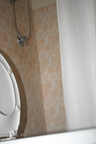 a bathroom with a toilet and a shower curtain at Honeybed Lodge in Lusaka