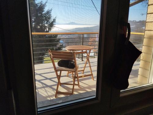 a cat sitting in a chair on a balcony at Kosmaj Apartmani Košutica - Marija i Ksenija in Koraćica
