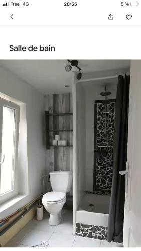 a white bathroom with a toilet and a shower at Studio Indépendant 5 min gare in Nogent-lʼArtaud