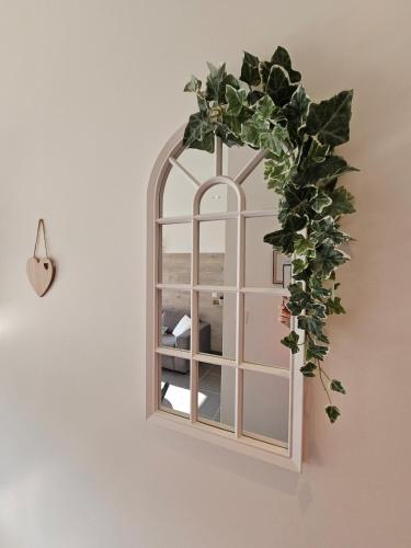 a mirror on a wall with a plant at Appart avec terrasse et parking in Audincourt