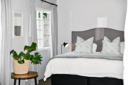 a bedroom with a bed and a plant on a table at Gowan Valley Guest Farm in Balgowan