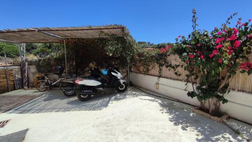 a motorcycle parked next to a fence with flowers at Hotel le Sabbie in Calasetta