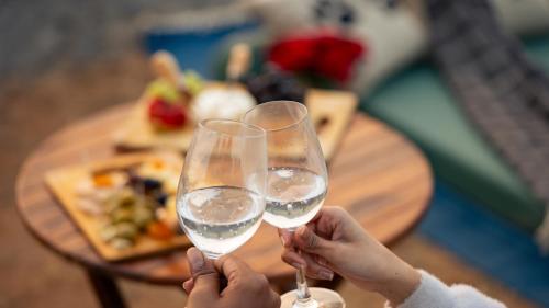 two people holding glasses of white wine on a table at Neem Sarai Sariska in Tehla