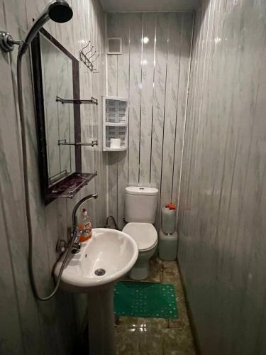 mała łazienka z toaletą i umywalką w obiekcie Edlen-Sameba-View w mieście Tbilisi City