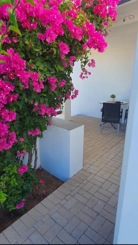 a bunch of pink flowers on a wall at View on the Bay 7 Pinta Crescent in St Helena Bay