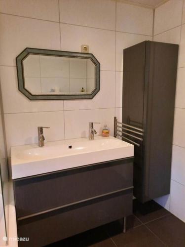 a bathroom with a sink and a mirror at Veluwe Happy Together in Epe