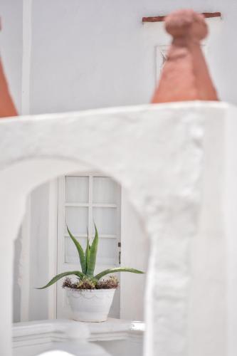 a plant in a white pot on a window sill at Relais Corte Palmieri & Il Chiostro - Residenza d'epoca in Gallipoli