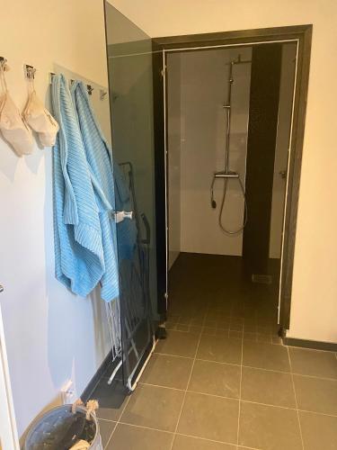 a bathroom with a shower with blue towels on a wall at Hienoa talo porealtaalla lähellä Helsinkiä ja lentokenttää in Tuusula
