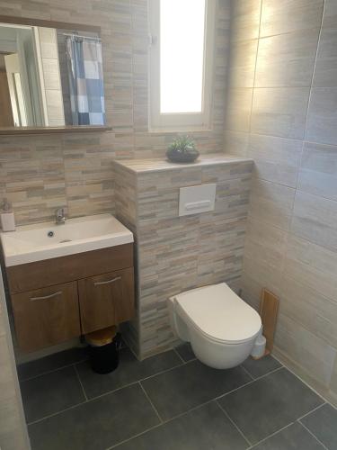 une salle de bain avec toilettes et lavabo dans l'établissement Belle maison bord de la mere Canet, à Canet