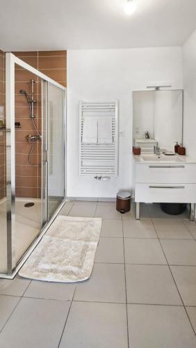 une salle de bain avec une douche, un lavabo et un miroir dans l'établissement Cosy Arborea, à Bron