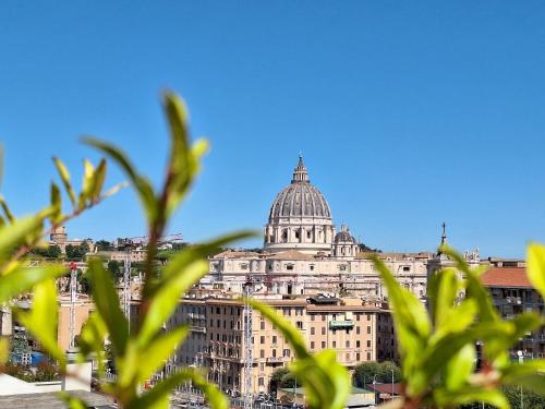 een uitzicht op het Capitool van achter een aantal planten bij Delmirani's Book Apartments - Vatican View in Rome