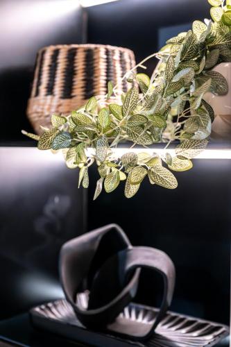 a pair of shoes sitting on a shelf with a plant at Luxury Beachfront Penthouse, Blouberg- 3 Bedroom in Bloubergstrand