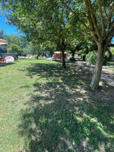 two trees in a grassy field with a tree shade at Il Vecchio Mulino in Massa Martana
