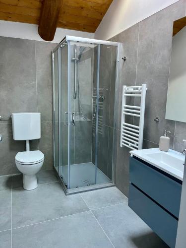 a bathroom with a shower and a toilet and a sink at Cascina Luscai in Novello