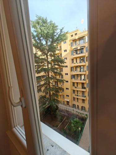Angolo Romano photo 36