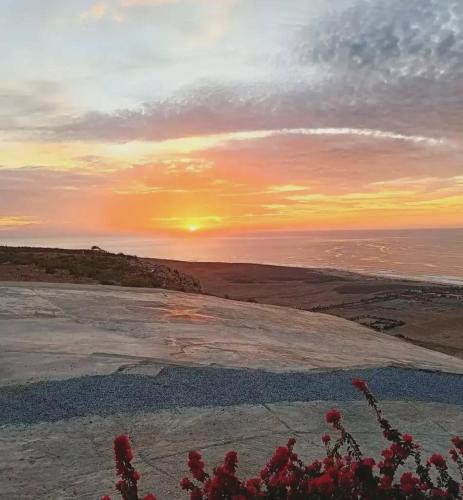 a sunset over the ocean with flowers in the foreground at Adoir N'salh in Tiznit