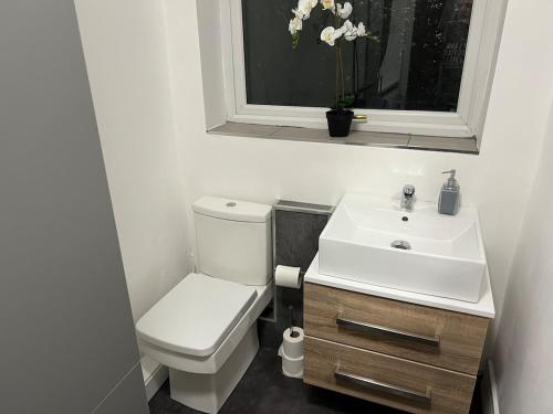 ein Badezimmer mit Toilette und Waschbecken und einem Fenster in der Unterkunft East Durham Terraced Home in Easington