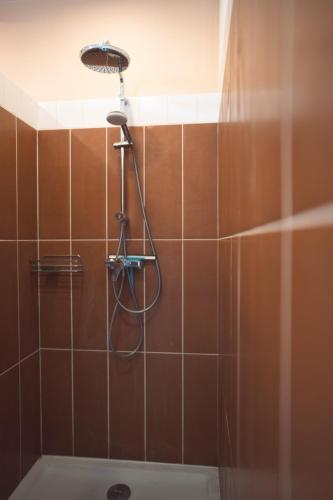 une douche avec pommeau de douche dans une salle de bain dans l'établissement La Ruche - l'auberge qui relie, à Aouste-sur-Sye