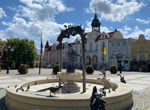 a fountain with birds standing around it with a statue at Apartament Wałowa 2 in Wejherowo