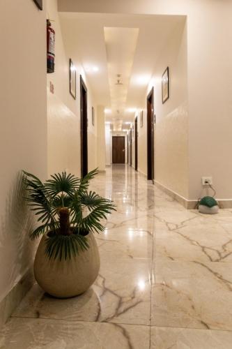 a hallway with a plant in a large pot at Hotel Alaya in Dehradun