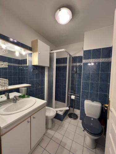 La salle de bains est pourvue de toilettes, d'un lavabo et de toilettes. dans l'établissement La Terrasse de Palais des Arts, à Nice