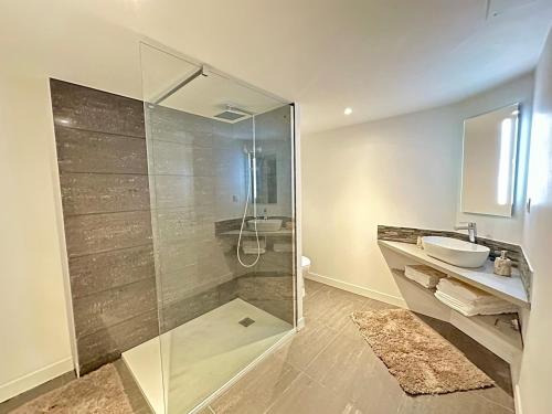 une salle de bain avec une douche en verre et un lavabo dans l'établissement Appartement d'Exception, Coeur de ville, Wifi, à Avignon