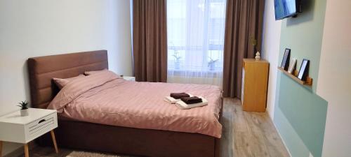 Un dormitorio con una cama con un gato acostado en ella. en Green Park Apartment, en Chişinău