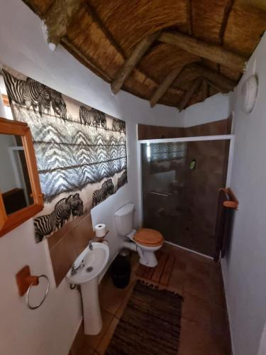 a bathroom with a shower and a toilet and a sink at Amatava Lodge in Mokopane