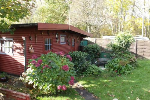 une petite cabane rouge avec des fleurs dans la cour dans l'établissement Ferienhaus Küstenkracher in Maasholm-Bad, à Maasholm-Bad