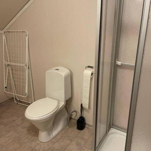 a bathroom with a white toilet and a shower at Ranchen in Sortland