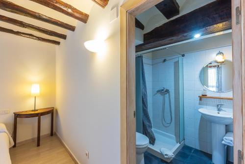 a bathroom with a shower and a toilet and a sink at La casa de mi Abuela en La Bardena in Cintruénigo
