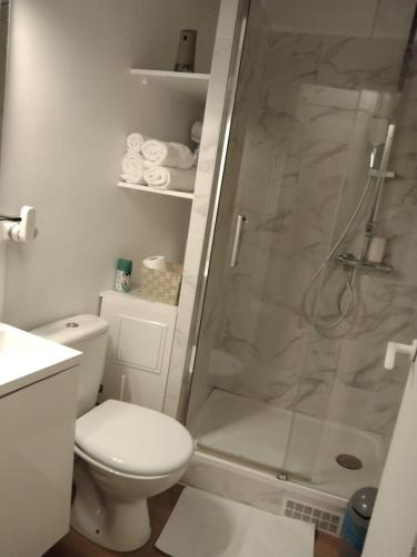 une salle de bain avec toilettes et douche en verre dans l'établissement Beautiful stay in Paris, à Paris
