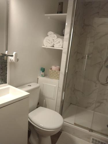 une salle de bain blanche avec toilettes et douche dans l'établissement Beautiful stay in Paris, à Paris