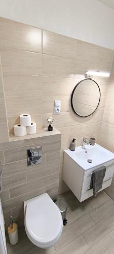 a bathroom with a white toilet and a sink at NAROZI prázdninový dům LIPNO in Černá v Pošumaví