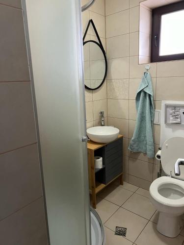 a bathroom with a toilet and a sink and a mirror at MIK Chalet in Săcele