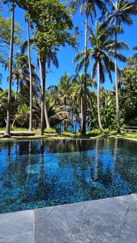 a swimming pool with palm trees in the background at Maison d 'ô in Saint-Philippe
