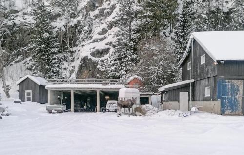 een besneeuwd huis met een koe in de sneeuw bij 5 Bedroom Nice Home In Namsos in Namsos