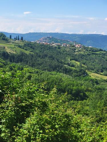 a view of a lush green valley with trees at Domus in Monte in Kaldir