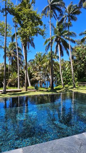 a swimming pool with palm trees in the background at Maison d 'ô in Saint-Philippe