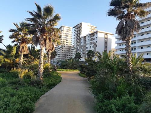 a path with palm trees in front of buildings at Appt neuf Zenata- 2 chambres et Mezzanine - Piscine in Aïn Harrouda