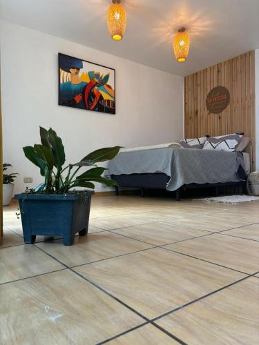 a bedroom with a bed and a potted plant at La Terraza Orgánica in Cartago