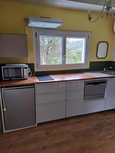 une cuisine avec un évier et un micro-ondes dans l'établissement Le temps de vivre, à Baron