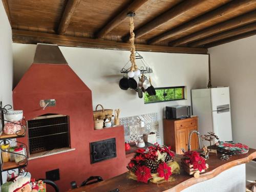 a kitchen with a counter top with a stove at Chalé manacá da Serra in São Bento do Sul