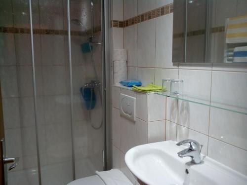 a bathroom with a shower and a sink and a toilet at Alte Schule in Sankt Oswald