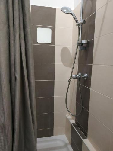 La salle de bains est pourvue d'une douche avec rideau de douche. dans l'établissement Très bel F2 à deux pas du centre ancien, au Puy-en-Velay