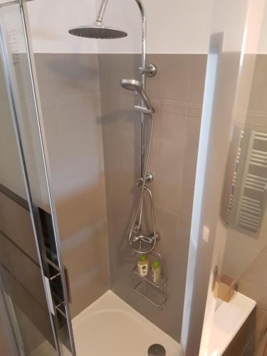 une douche avec une porte vitrée dans une salle de bain dans l'établissement La Récréation Lochoise Maison 7pers, Zoo de Beauval, à Loches