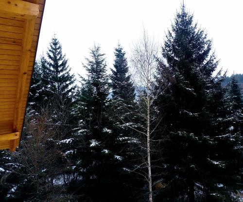 a group of pine trees with snow on them at House sid forest in Otočac